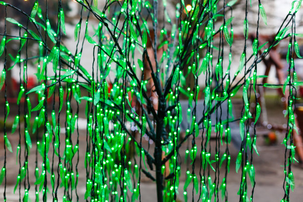 自然背景，绿色常青藤植物模型图片下载