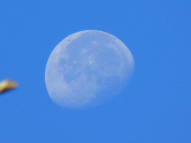 早上的月亮图片下载