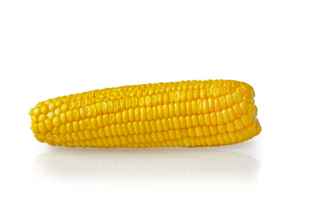 白色背景上孤立的甜玉米图片下载
