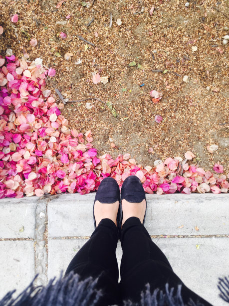 春天开满了花图片下载