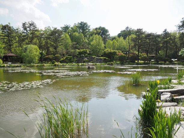 韩国清州的风景公园图片下载