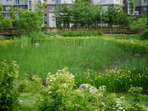 韩国清州的风景公园图片下载