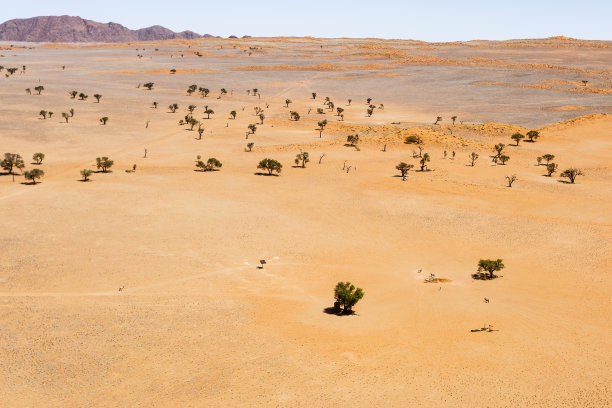 你是沙漠里的水源图片下载