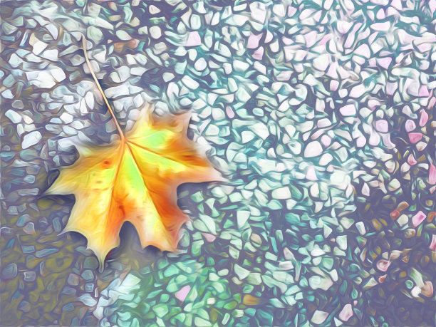 枫叶在石头的背景上。图片下载