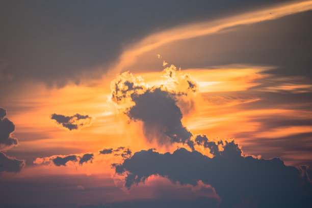 金色的晨光。图片下载