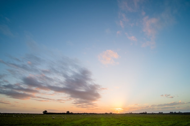 新西兰的农业。羊和草地生长在农村地区。夕阳与温暖的光和蓝天的景象。图片下载