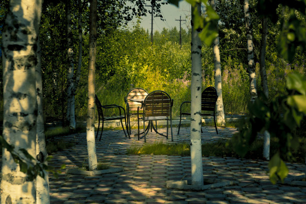 城市公园里夏日咖啡馆的片段图片下载