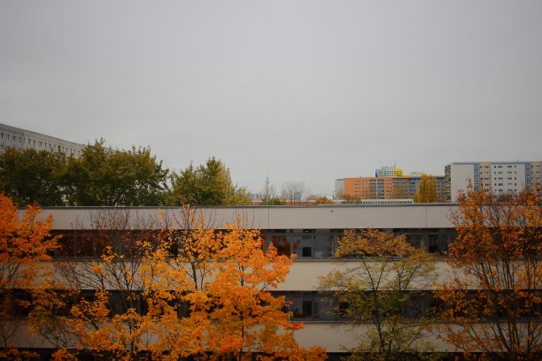 柏林的一个阴天图片下载