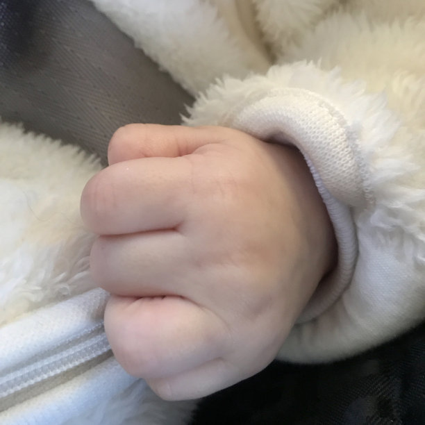 小婴儿拳头在汽车座椅与安全带图片下载