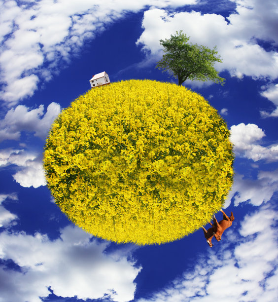 用地球和农场动物构成的乡村景观来保存地球的图像图片下载