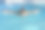 少年的特写动作镜头，年轻的athlethе蝶泳。图片下载