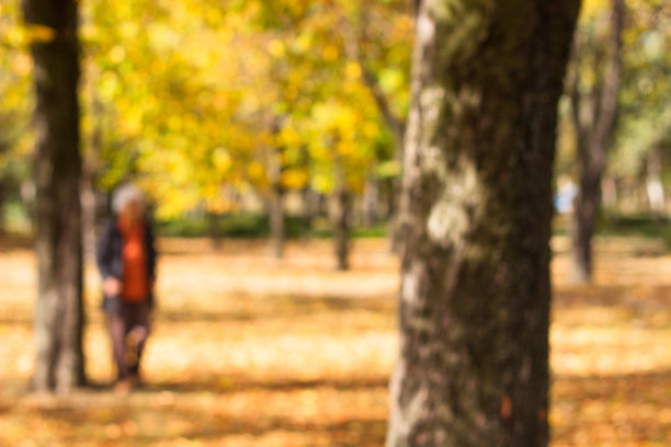 散焦的祖母在公园散步图片下载