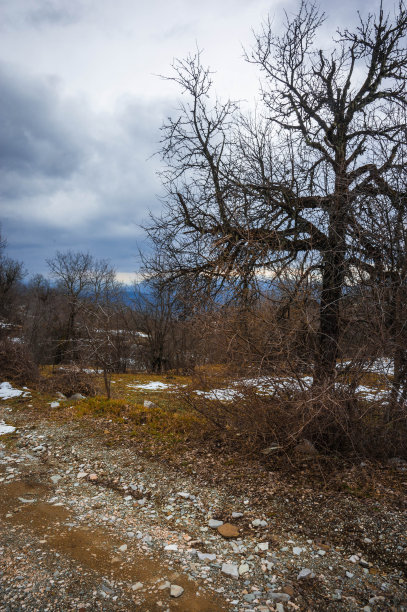 美丽的冬季风景在扎哥罗赫里亚山，希腊图片下载