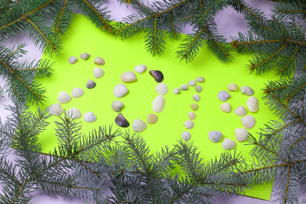 2019. 新年。碑文2019由贝壳制成。用冷杉树枝制作的新年贺卡。黄土猪年图案。绿色的背景与圣诞树的树枝图片下载