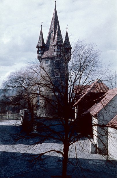 林道的“Diebsturm”图片下载