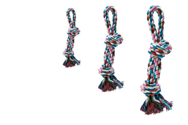 宠物饰品概念。设置宠物玩具咬在孤立的白色背景。图片下载