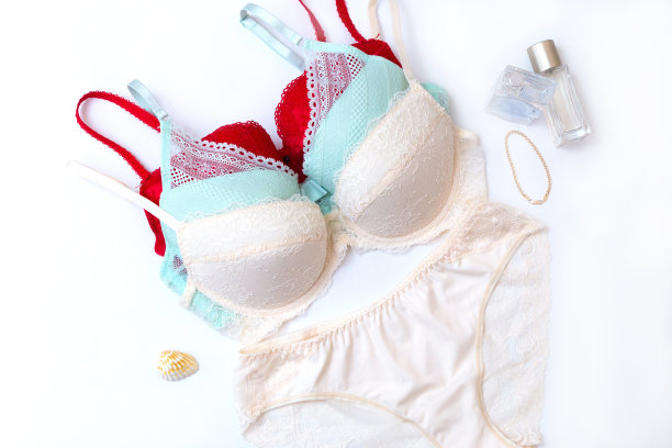 胸罩和内裤图片下载