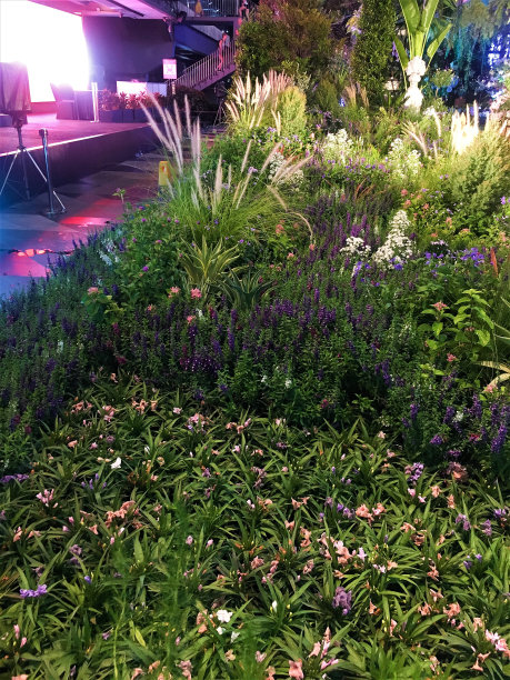 LED照明。花园之夜特写照片。花园之夜图片下载