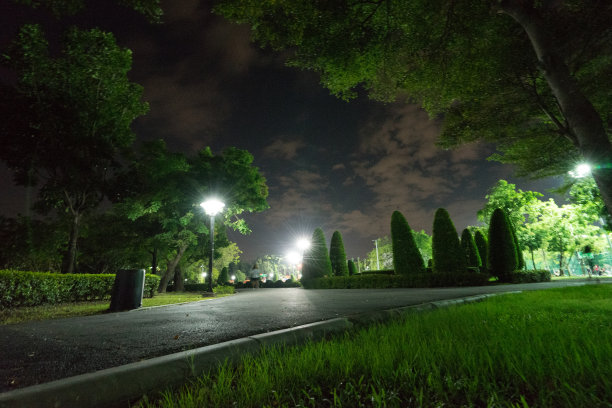 城市公园在夜间有一个休息的地方。冬季城市公园的景观。图片下载