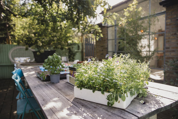 准备好园艺图片下载