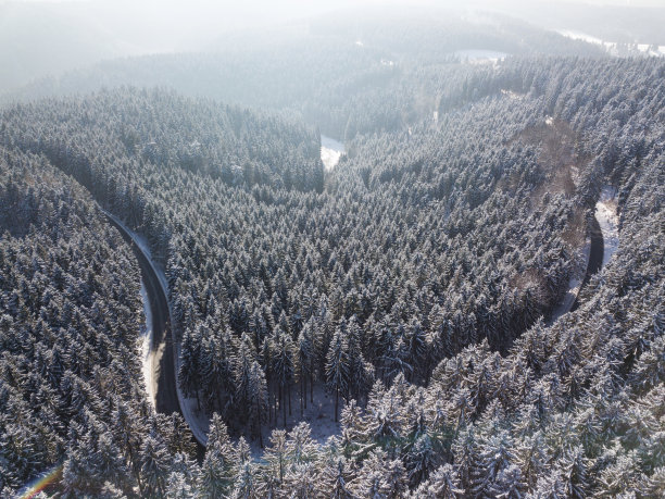 欧洲图林根州冬季森林中蜿蜒的道路图片下载