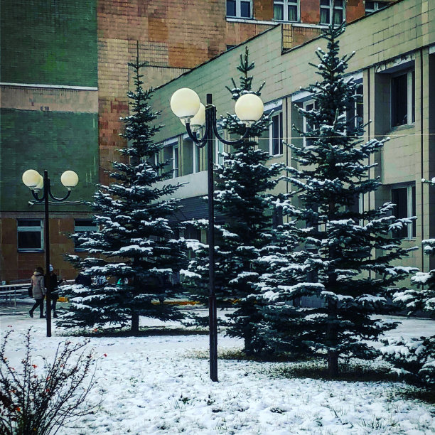 我的大学图片下载