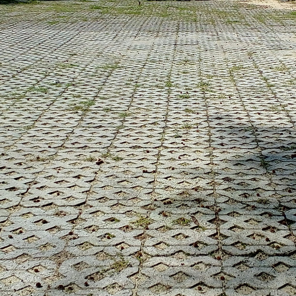 地板上旧砖图片下载