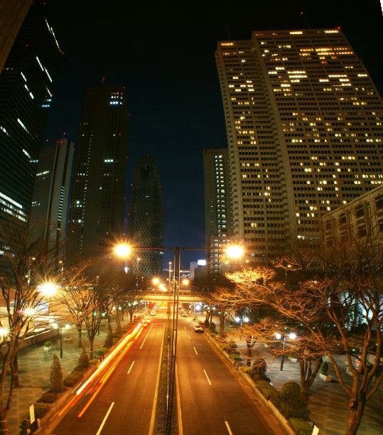 新宿在晚上图片下载