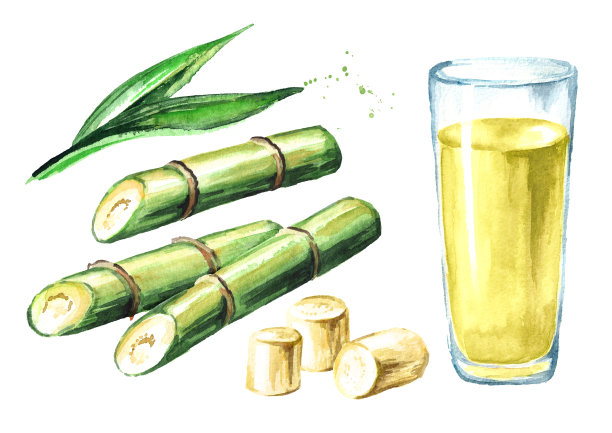 甘蔗汁与玻璃杯、叶子和切块。水彩手绘插图，独立于白色背景图片下载
