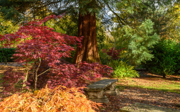 季节性的秋天的颜色图片下载