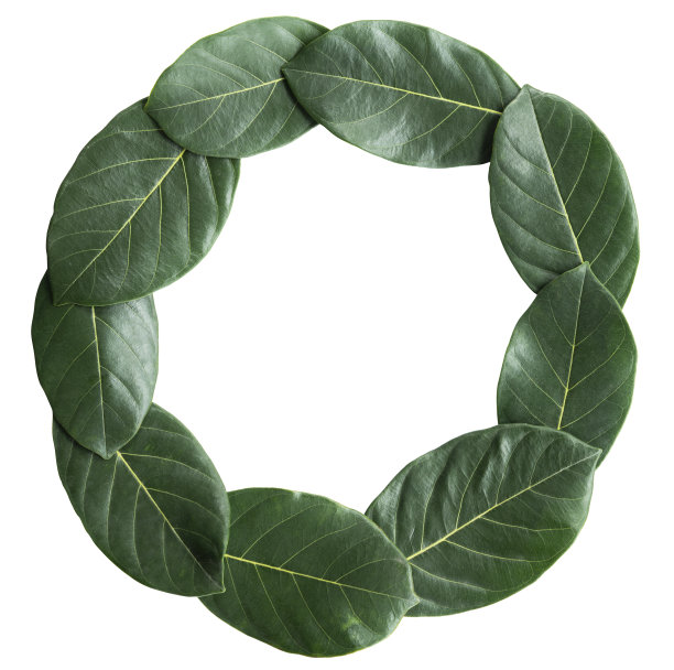 绿叶圆图片下载