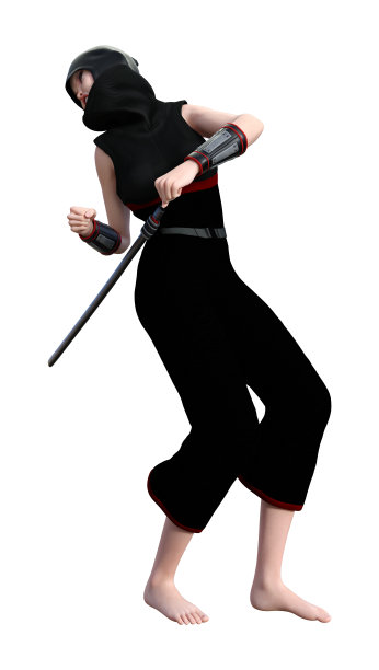 3D插图女忍者在白色图片下载