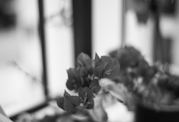 贝贡维尔图片下载