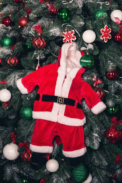 圣诞老人的服装躺在圣诞树上。图片下载