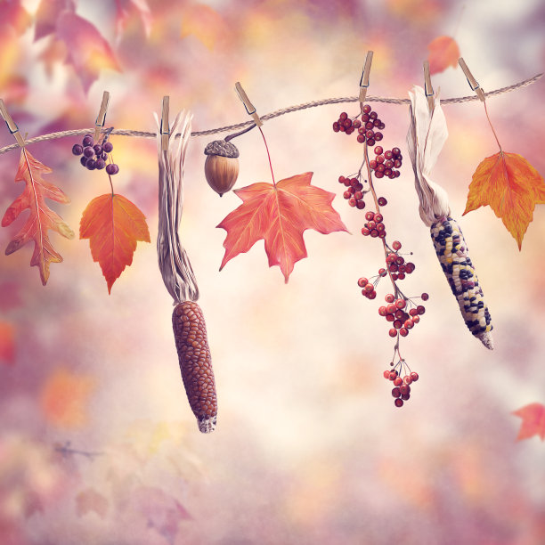 五彩缤纷的背景上的秋天作文图片下载