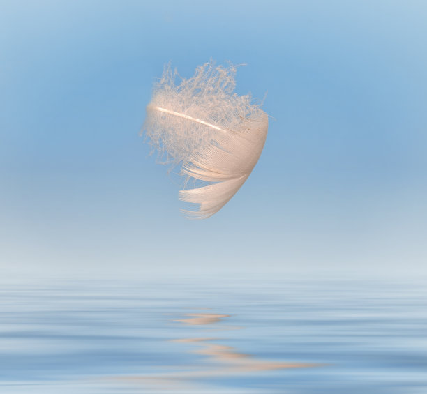 飘起来图片下载