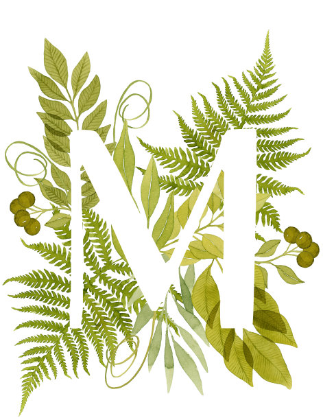 大写字母M与绿色水彩蕨交织。植物插图。叶字母组合。图片下载