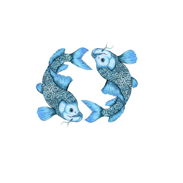 水彩鱼illustraion素材图片