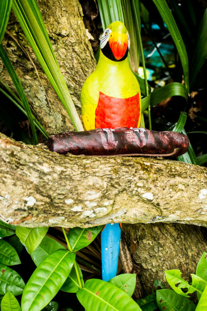 鹦鹉雕像图片下载