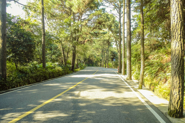 美丽的阳光在西桥山公园路中国佛山图片下载