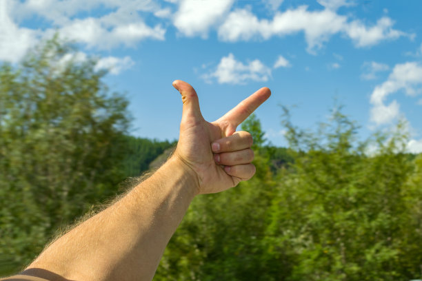 这名男子的手臂，覆盖着头发，张开着，显示两个手指的手势，掌心的命运之线在背景上是蓝天白云和绿色的针叶树图片下载