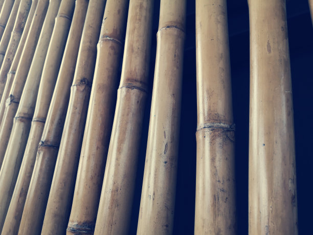 竹背景,纹理图片下载