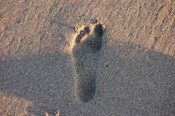 沙滩上脚印的高角度视图图片下载