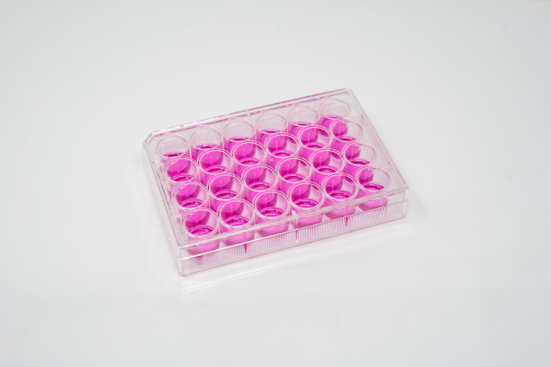 白色背景下的细胞培养板图片下载