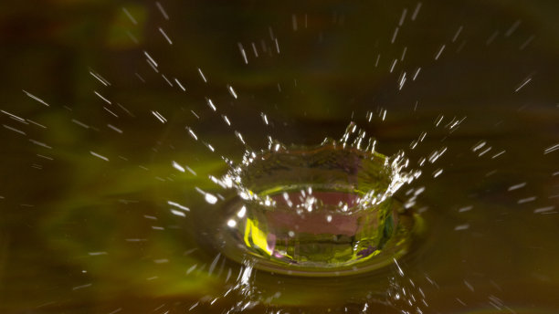 雨滴落进水里，选择性聚焦特写图片下载