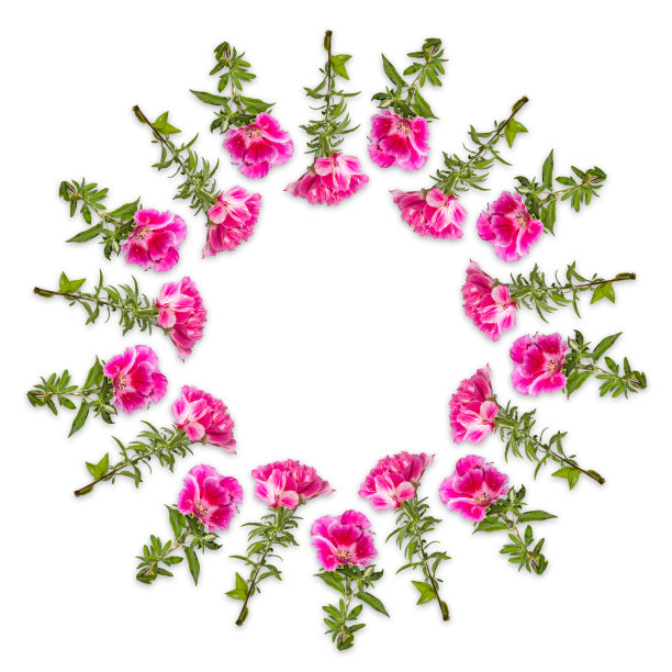 婚礼的框架。孤立在白色背景上的花圈图片下载