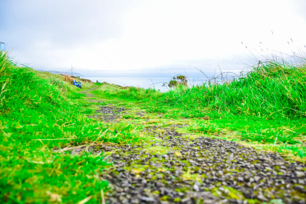 马恩岛山上的一条小径图片下载