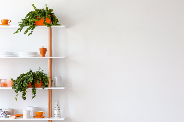 白色客厅内部的架子上放着植物和杯子，空墙上挂着拷贝空间。真实的照片图片下载