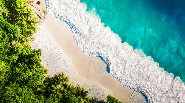 热带海滩，有大海和棕榈树，无人机拍摄。塞舌尔著名的鲨鱼海滩-航拍照片图片下载