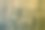 创意橙色划痕橡木材质纹理-相当抽象的照片背景图片下载